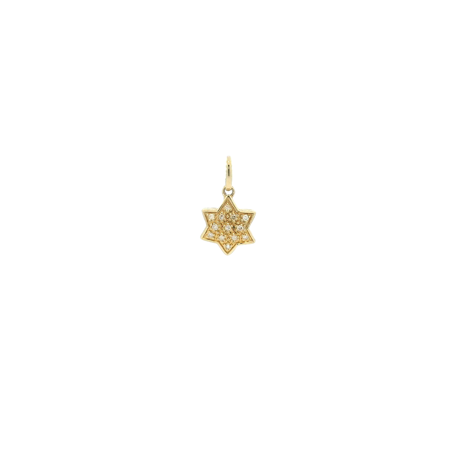 14KYG Diamond Jewish Star Pendant