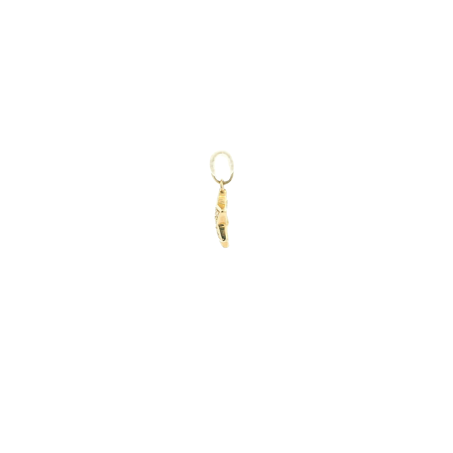 14KYG Diamond Jewish Star Pendant