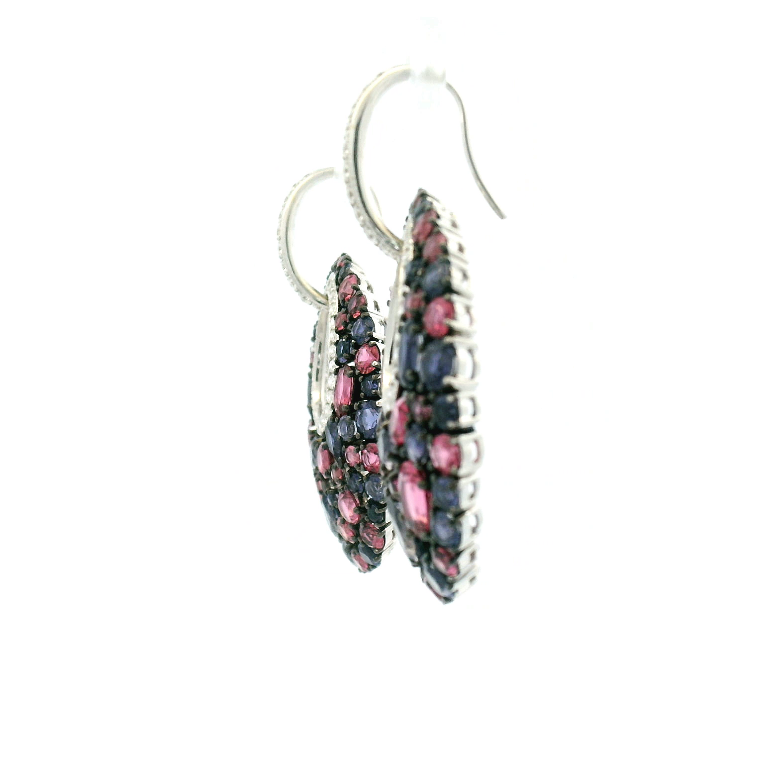 Elegant Multi-Colored Earrings