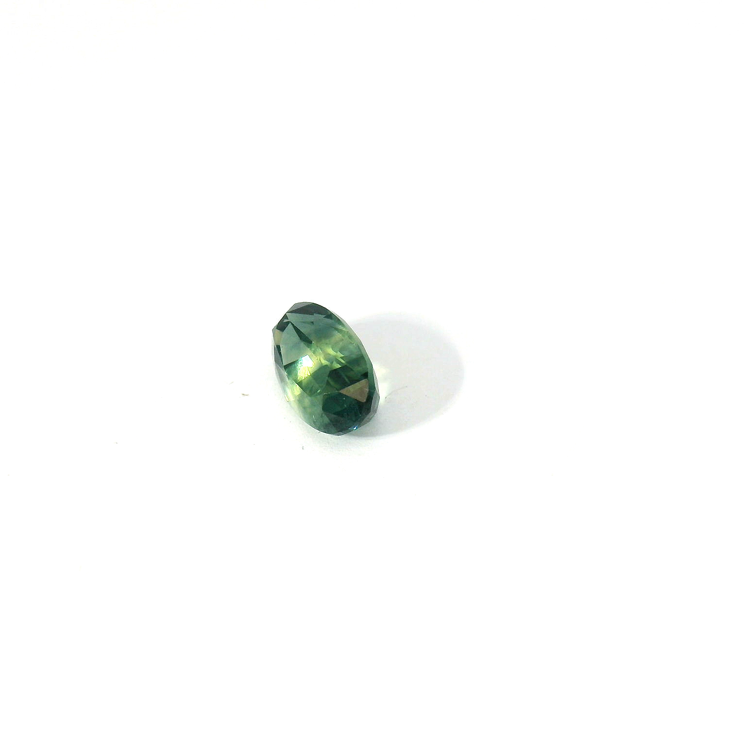 bi-color long oval