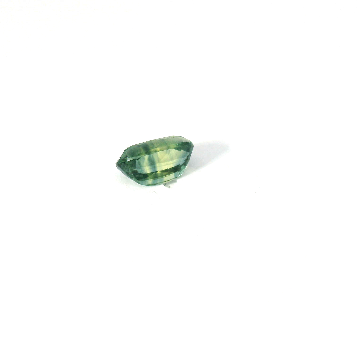 bi-color long oval