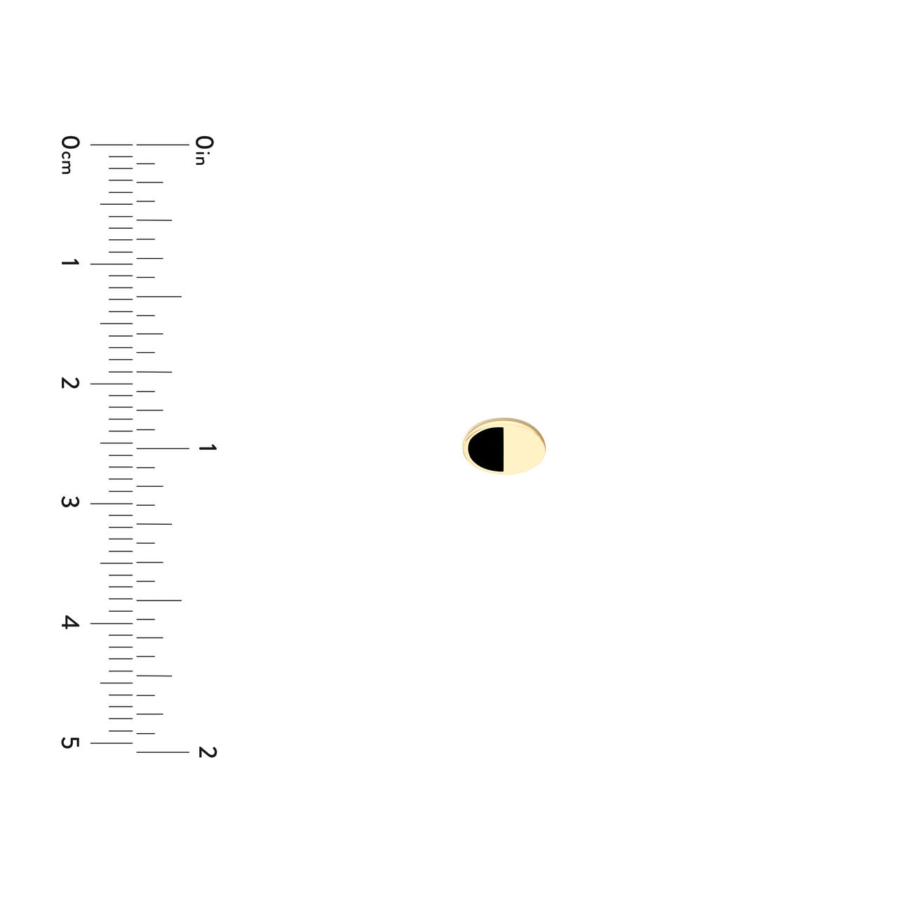 14k 50/50 Black/High Polished Oval Stud Earring