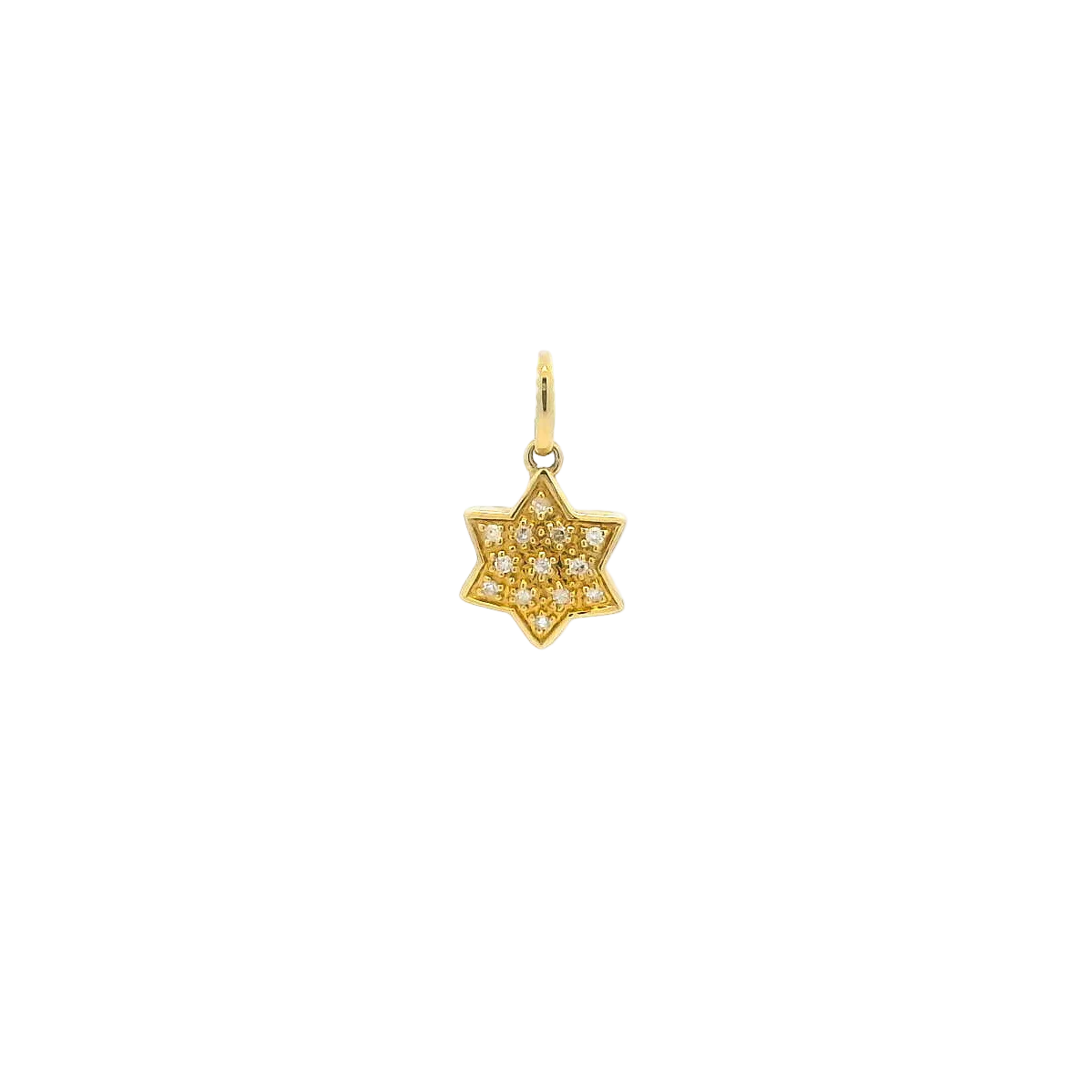 14KYG Diamond Jewish Star Pendant